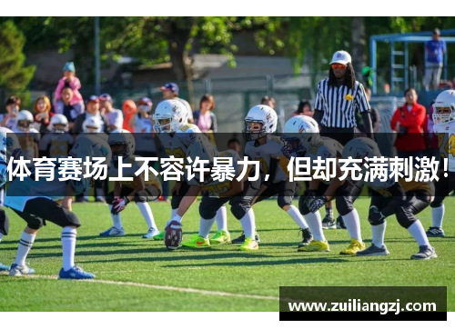 体育赛场上不容许暴力，但却充满刺激！